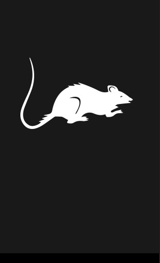 Rats et rongeurs